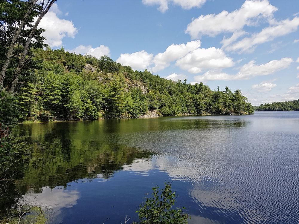 Conservancy moves to protect 'Frontenac Arch' forest area near ...