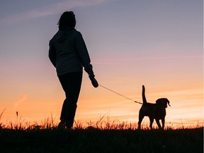 You should always check your pet for ticks after a walk in grassy or wooded areas.