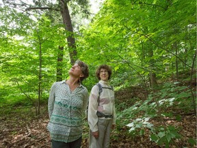 Andrea Prazmowski, left, seen here with Sheila Gariepy, is a forest therapy guide, leading tours in the woods to meditate in nature.