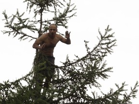 A distraught man is seen in a tree in Edmonton, on Thursday, May 31, 2018. He was rescued without the use of force by Edmonton Police Service tactical officers using an Edmonton Fire Rescue Service bucket truck.