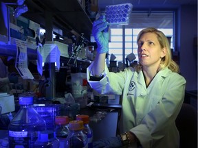 Dr. Rebecca Auer, director of cancer research at The Ottawa Hospital.  Julie Oliver/Postmedia