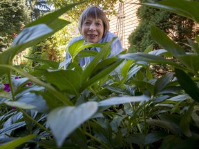 Julianne Labreche enjoys her own elaborate, bee-friendly front garden. (Errol McGihon/Postmedia)