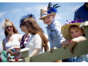 Two-year-old James Prescott climbed up on the fence beside his big sister, five-year-old Ellie, to get a better glimpse.
