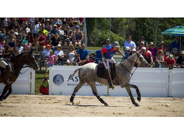 The warm sun made for a beautiful day to watch a polo match.