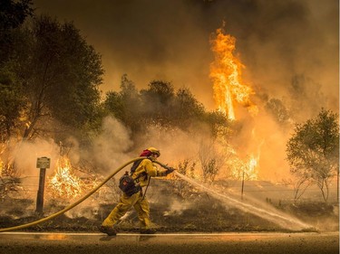 A Cal Fire firefighter waters down a back burn on Cloverdale Rd., near the town of Igo, Calif., Saturday, July 28, 2018. The back burn kept the fire from jumping towards Igo, Calif. Scorching heat, winds and dry conditions complicated firefighting efforts. (Hector Amezcua/The Sacramento Bee via AP) ORG XMIT: CASAB601