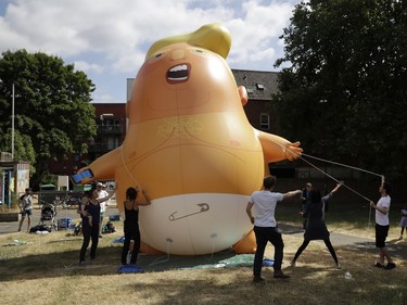 In this photo taken on Tuesday, July 10, 2018,  a six-meter high cartoon baby blimp of U.S. President Donald Trump is erected during a practice session in Bingfield Park, north London. Trump will get the red carpet treatment on his brief visit to England that begins Thursday: Military bands at a gala dinner, lunch with the prime minister at her country place, then tea with the queen at Windsor Castle before flying off to one of his golf clubs in Scotland. But trip planners may go out of their way to shield Trump from viewing another aspect of the greeting: an oversize balloon depicting the president as an angry baby in a diaper that will be flown from Parliament Square during what are expected to be massive gatherings of protesters opposed to Trump's presence.