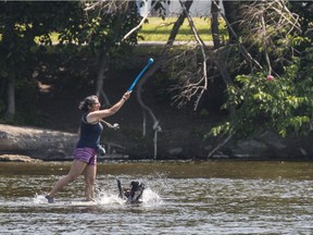 A woman tosses a ball for her dog in the shallow water of the Rideau River near Strathcona Park on July 2, 2018