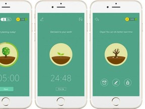 The app plants a virtual tree on your phone whenever you put it down to focus on work or other activities. But the second you pick the phone back up, the tree withers and dies.