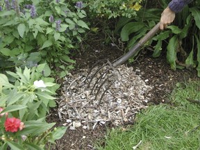 Mulch being applied to a flower bed. A bulky organic material such as wood chips, although low in nutrients, will over time decompose to boost soil fertility.