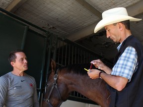 Chuckwagon Driver Mark Sutherland watches as Renaud Laguillette, the Calgary Chair in Equine Sports Medicine at University of Calgary, uses a handheld blood ammonia testing device on Zoe, a horse belonging to chuckwagon driver Mark Sutherland. The device, used for testing blood in sick humans, might prove a good tool to use Ôtrack-sideÕ to test a horseÕs fitness performance and athletic capacity.