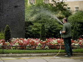 FILE - In this Monday, July 9, 2018 file photo, a worker uses a hose pipe to water flowers in Downing Street, London. Millions in northern England are facing a ban on using garden hoses or sprinklers amid one of the longest spells of hot and dry weather in years. Water company United Utilities said Tuesday, July 17 that despite recent rainfall reservoir levels are still lower than average.