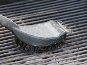 Barbecue brush