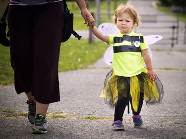 The Canada Agriculture and Food Museum held a day of activities for the whole family to celebrate World Honeybee Day Saturday August 18, 2018. Two-year-old Suzy Sikorski made her bee costumes for the special day at the farm Saturday.