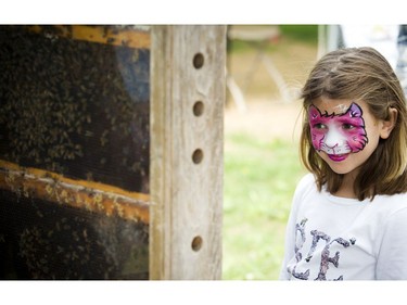 The Canada Agriculture and Food Museum held a day of activities for the whole family to celebrate World Honeybee Day Saturday August 18, 2018. five-year-old Melody Barrie takes a close look at the bees.