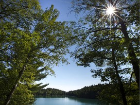 Gatineau Park.