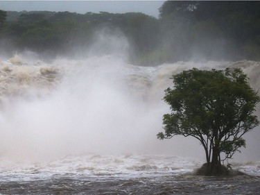 The Wailuku River flood waters run downstream on the Big Island at Hilo, Hawaii, on Thursday.