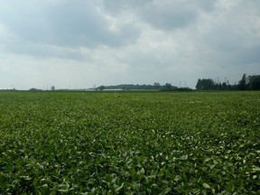 From Woodroffe Avenue, the buildings on the land are barely visible amidst the 822.8-hectare property near the Greenbelt.