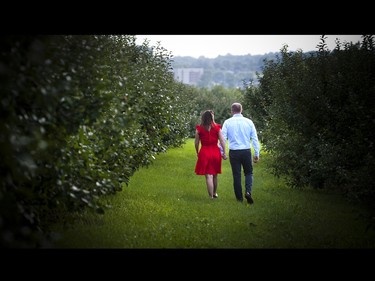 A couple walks between the rows of apple trees in the orchard.