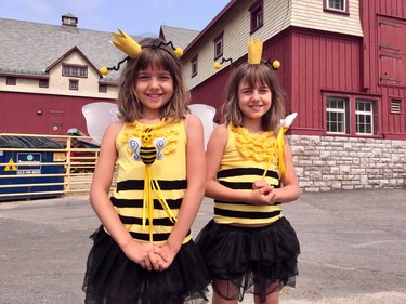 Twin bees Emily and Sophie Otreba, 7, at World Bee Day celebrations at the Museum of Agriculture Saturday, Aug. 18.