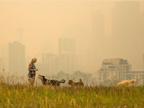 Dog walker Angela White walks her charges on Tom Campbell's Hill while heavy forest fire smoke almost completely obscures the downtown Calgary skyline on Wednesday August 15, 2018.