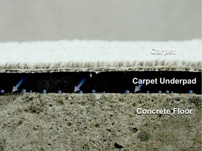 When carpet sits on top of a cool concrete floor it can promote condensation and mustiness during humid weather. Separating carpet from concrete with a subfloor or reducing indoor humidity is the fix.