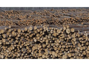 Softwood lumber is pictured at Tolko Industries in Heffley Creek, B.C., on April, 1, 2018. Wildfires that are roaring through B.C. timber stands are being credited with higher lumber prices and soaring stock prices for publicly traded Canadian forest product companies. Hamir Patel, a research analyst for CIBC World Markets, says lumber buyers appear to be worried about supply disruptions if this summer's wildfire toll is as severe as last season's.