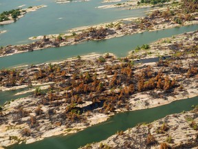 Scorched trees from fire is shown from above where the Parry Sound 33 forest fire has burnt thousands of hectares of land near Britt, Ont., on Wednesday, August 15, 2018.