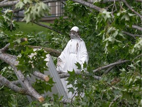 Lightning and high winds on Monday evening apparently knocked down a large limb on a maple tree on the grounds of St Patrick Basilica damaging a statue in the process.