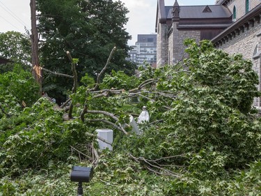 Lightning and high winds on Monday evening apparentyl knocked down a large limb on a maple tree on the grounds of St Patrick's Basilica damaging a statue in the process.  Photo by Wayne Cuddington/ Postmedia
