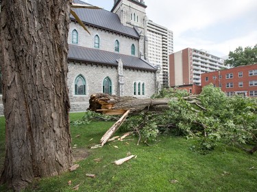 Lightning and high winds on Monday evening apparentyl knocked down a large limb on a maple tree on the grounds of St Patrick's Basilica damaging a statue in the process.  Photo by Wayne Cuddington/ Postmedia