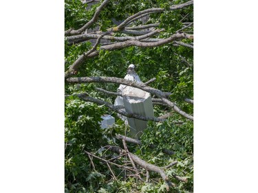 Lightning and high winds on Monday evening apparentyl knocked down a large limb on a maple tree on the grounds of St Patrick's Basilica damaging a statue in the process.  Photo by Wayne Cuddington/ Postmedia