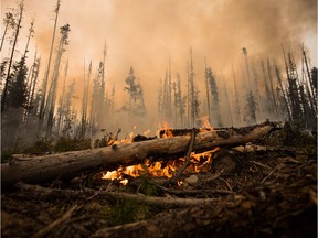 Files: A wildfire burns on a logging road approximately 20 km southwest of Fort St. James, B.C., on Wednesday, August 15, 2018. The British Columbia government has declared a provincial state of emergency to support the response to the more than 500 wildfires burning across the province.