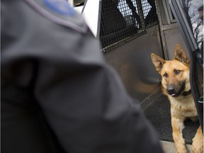 FILE PHOTO: Ottawa Police Canine Unit.