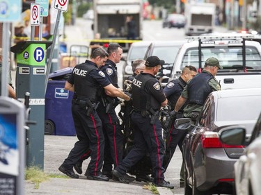 The NCC, Ottawa police and the Ministry of Natural Resources joined forces Thursday September 6, 2018 to tranquillize and remove a bear that was in Ottawa's downtown.