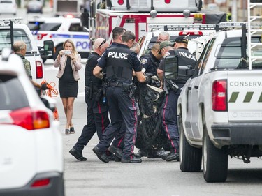 The NCC, Ottawa police and the Ministry of Natural Resources joined forces Thursday September 6, 2018 to tranquillize and remove a bear that was in Ottawa's downtown.