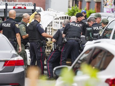 The NCC, Ottawa police and the Ministry of Natural Resources joined forces Thursday September 6, 2018 to tranquillize and remove a bear that was in Ottawa's downtown.