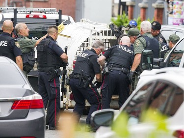 The NCC, Ottawa police and the Ministry of Natural Resources joined forces Thursday September 6, 2018 to tranquillize and remove a bear that was in Ottawa's downtown.