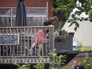 The NCC, Ottawa police and the Ministry of Natural Resources joined forces Thursday September 6, 2018 to tranquillize and remove a bear that was in Ottawa's downtown. A woman stands on a deck overlooking the tree the bear was hanging out in.