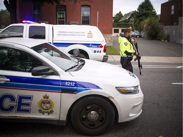 The NCC, Ottawa police and the Ministry of Natural Resources joined forces Thursday September 6, 2018 to tranquillize and remove a bear that was in Ottawa's downtown.