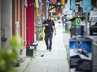 The NCC, Ottawa police and the Ministry of Natural Resources joined forces Thursday September 6, 2018 to tranquillize and remove a bear that was in Ottawa's downtown.