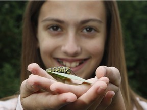 12-year-old Genevieve Leroux poses for a photo with a monarch butterfly caterpillar in Aylmer on Sunday, September 23, 2018. Genevieve won a $10,000 "young heroes" award for her effort in the conservation of monarch butterflies.
