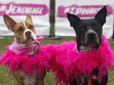 Daisy and Charlie pose for a photo at the Run for The Cure in Ottawa on Sunday, September 30, 2018.