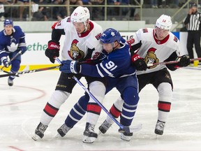 Toronto's John Tavares is checked by Ottawa's Logan Brown and Ryan Dzingel during their pre-season game on Tuesday in Lucan, Ont. (THE CANADIAN PRESS)