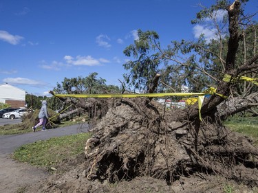 Storm damage at the Quarry Co-op on McCarthy Road in Ottawa. September 22, 2018.