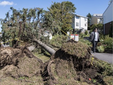 Storm damage at the Quarry Co-op on McCarthy Road in Ottawa. September 22, 2018.