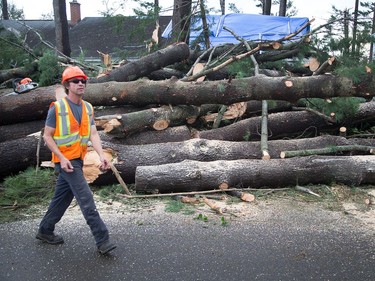 James Carty walks past a large pile of stacked trees as Arlington Woods continues to be a beehive of activity with arborists, hydro workers and city crews continuing to repair the damage from Friday's tornado.