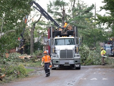 Arlington Woods continues to be a beehive of activity with arborists, hydro workers and city crews continuing to repair the damage from Friday's tornado.