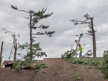 A roofer removes branches from a home on Riverbrook Rd on Sunday morning as residents in Ottawa's Arlington Woods neighbourhood deal with the aftermath of the twister.