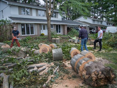 Residents clear trees from a home on Parkland Cres on Sunday morning as residents in Ottawa's Arlington Woods neighbourhood deal with the aftermath of the twister.