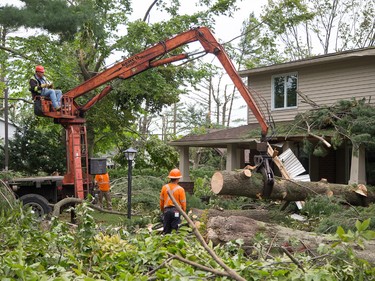Workers remove a large tree from Tracey Graham's home on Sunday morning as residents in Ottawa's Arlington Woods neighbourhood deal with the aftermath of the twister that touched down on Friday afternoon.